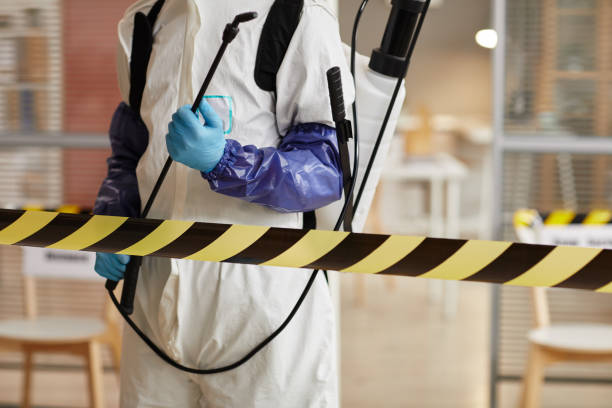 Professional Sewage Cleanup technician working in Colora, MD